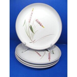 Denby Langley Harvest  8 1/8" Salad Plates Bundle of 4